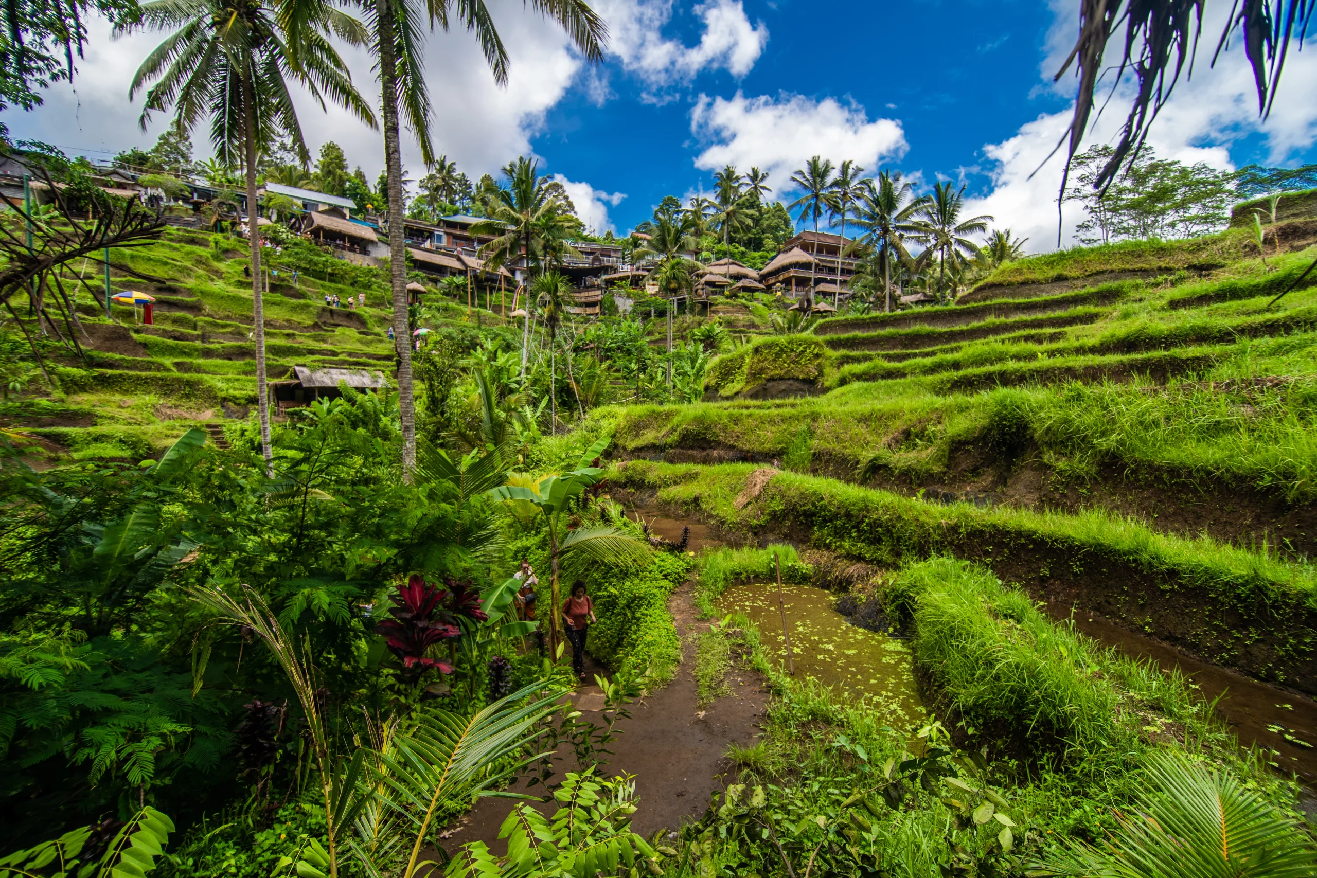 Property investment opportunity at Ubud