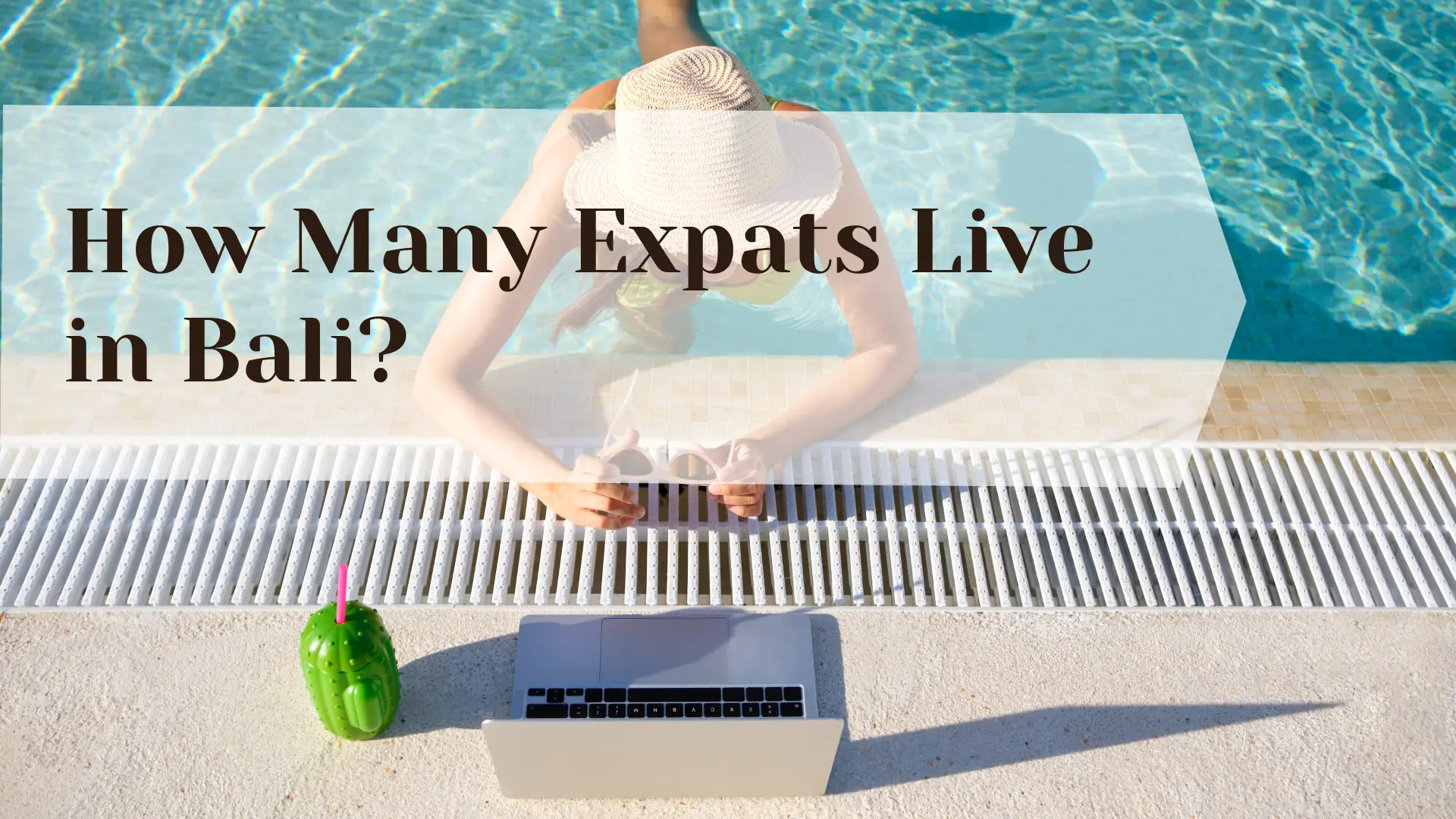 how-many-expats-live-in-bali-natadesa